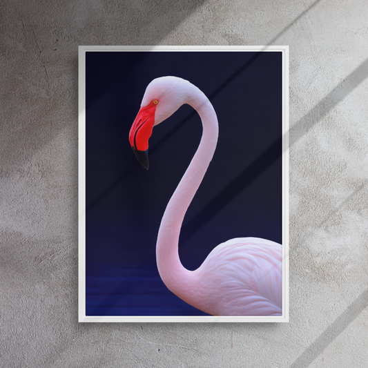 Flaminglow