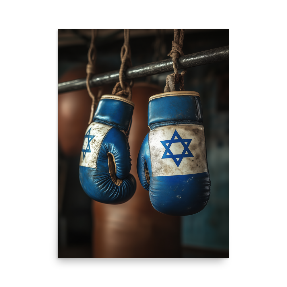 Boxing gloves wrapped with israeli flag jewish star artwork.